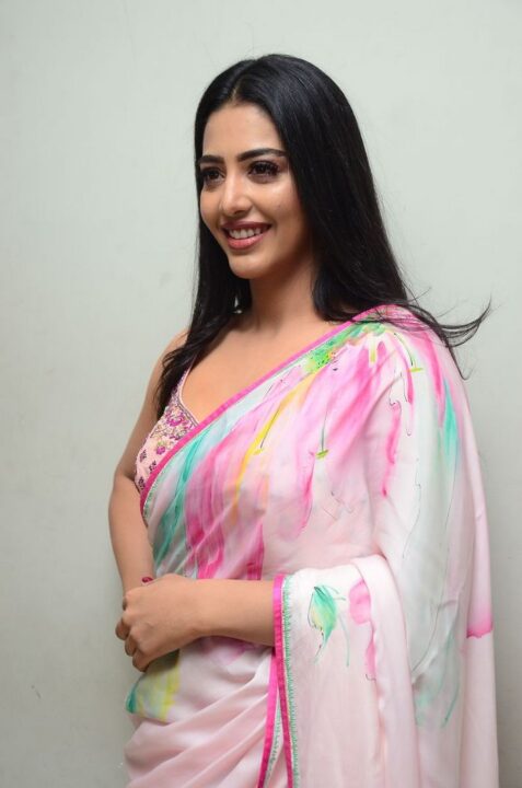 Daksha Nagarkar in saree stills at Zombie Reddy Movie Teaser Launch