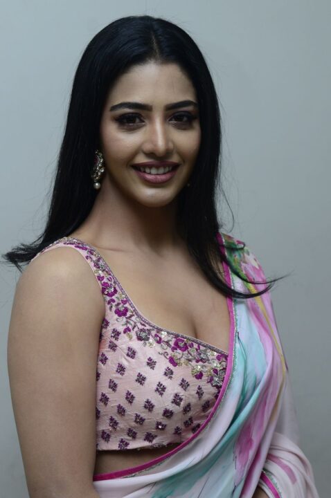 Daksha Nagarkar in saree stills at Zombie Reddy Movie Teaser Launch