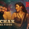 Dinchak lyrical video from RED movie released