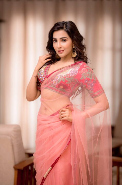 Parvati Nair hot navel pics in pink saree