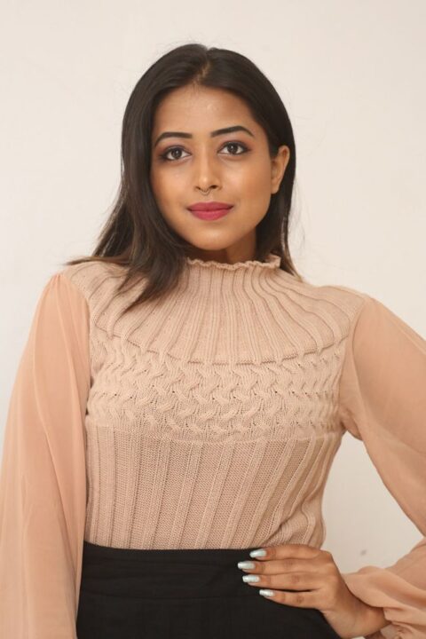 Rittika Chakraborthy at Bomma Adirindi-Dimma Thirigindi Press Meet