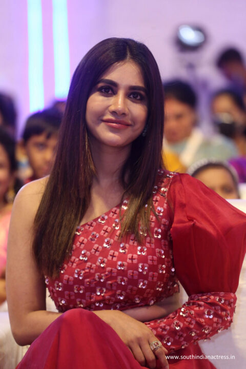 Nabha Natesh at Alludu Adhurs Movie Pre-Release Event