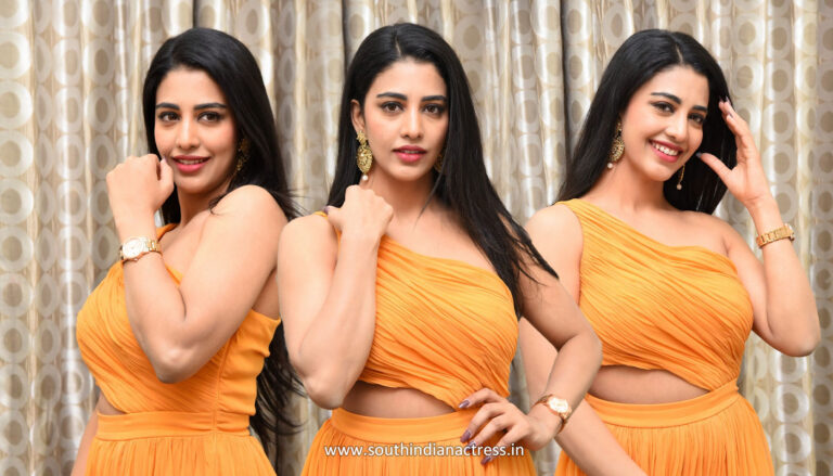Daksha Nagarkar at Zombie Reddy Pre-Release Event