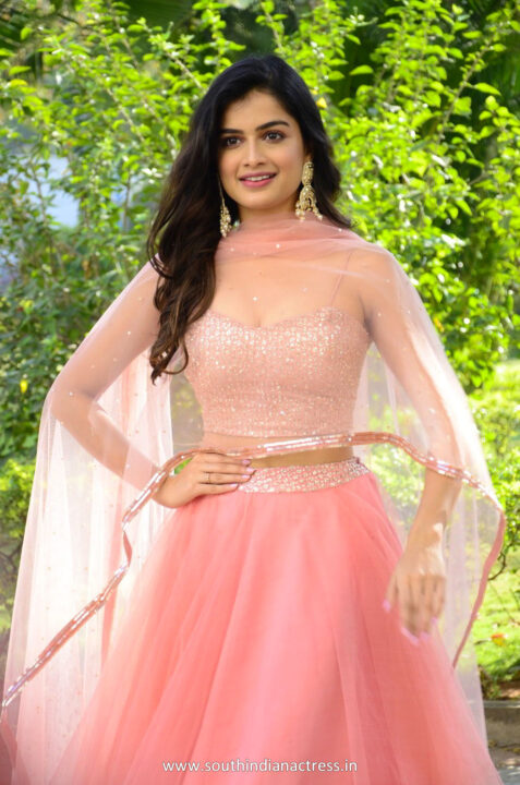 Hemal Ingle in pink lehenga at Power Play movie trailer launch