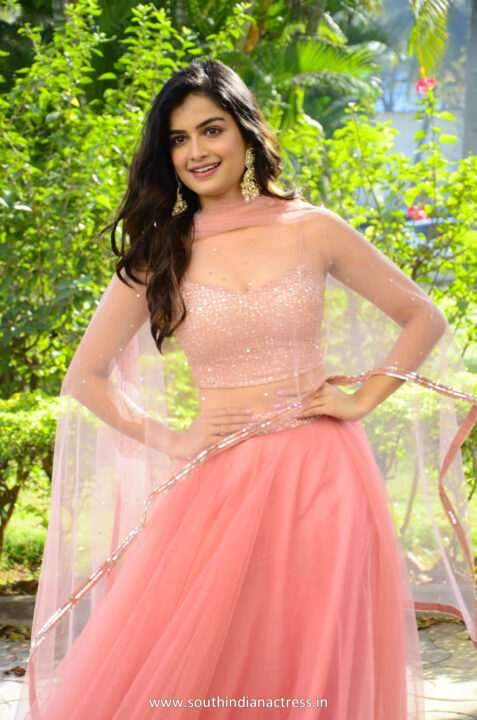 Hemal Ingle in pink lehenga at Power Play movie trailer launch