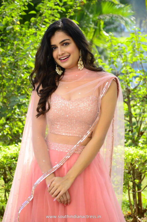 Hemal Ingle in pink lehenga at Power Play movie trailer launch