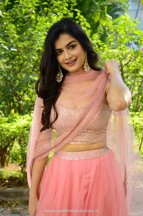 Hemal Ingle in pink lehenga at Power Play movie trailer launch