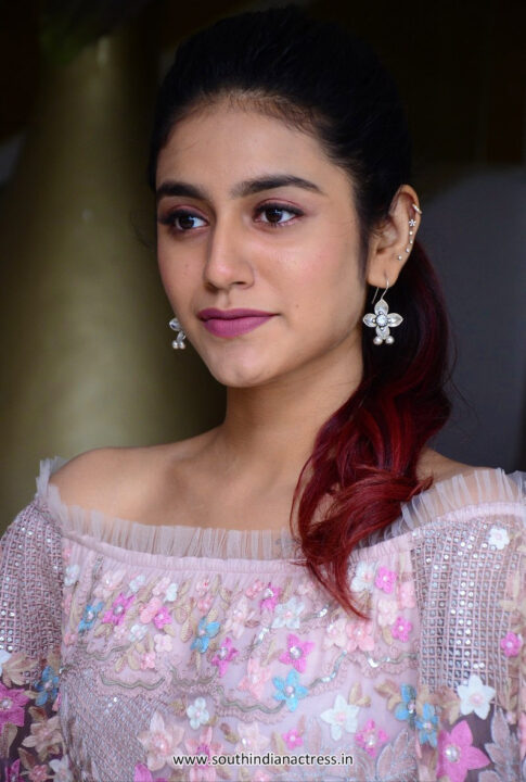 Priya Prakash Varrier at Check movie press meet photos