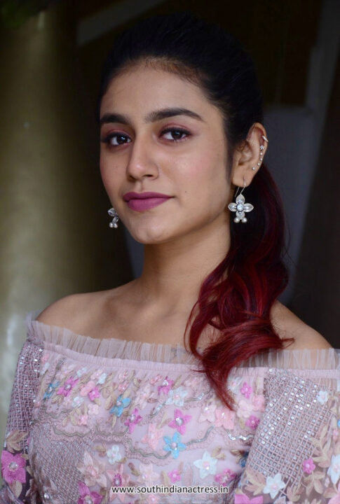 Priya Prakash Varrier at Check movie press meet photos