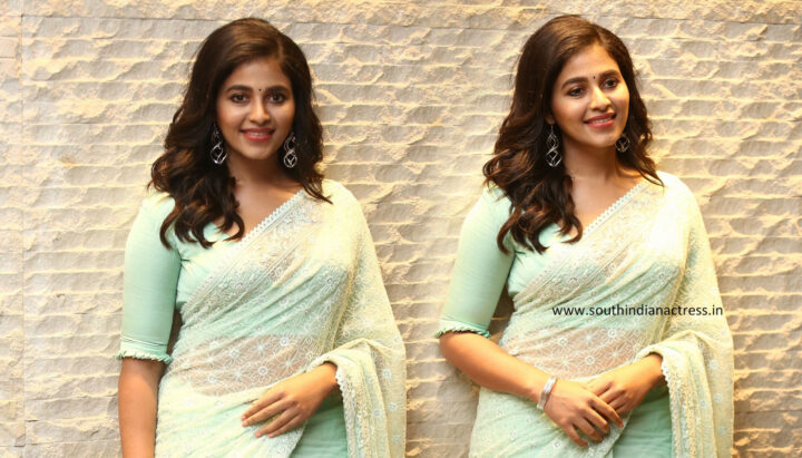 Anjali in saree stills at Vakeel Saab Maguva Nee Vijayam Event