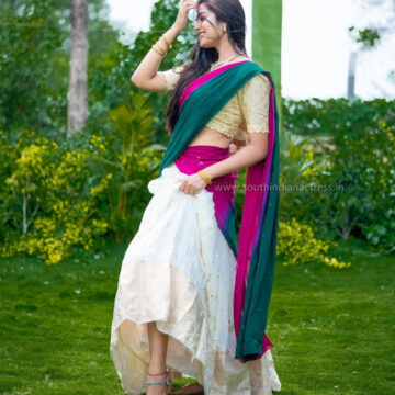 Previous Image