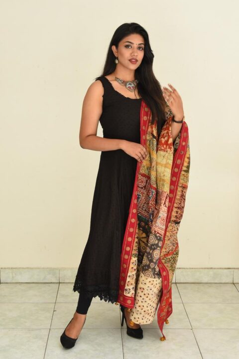 Malavika Satheesan at Bommala Koluvu Trailer Launch