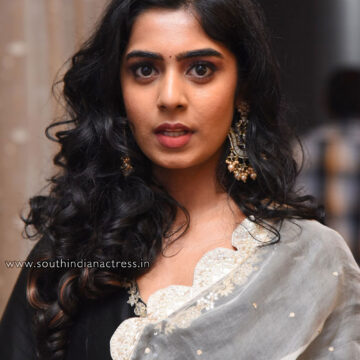 Previous Image