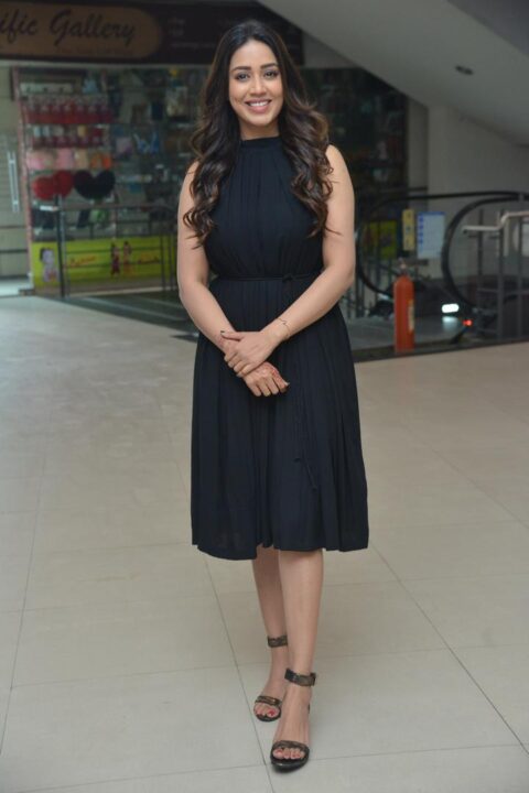 Nivetha Pethuraj at Paagal movie Thanks Meet