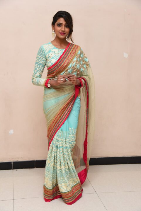 Dollysha in saree stills at The Killer Movie Success Meet