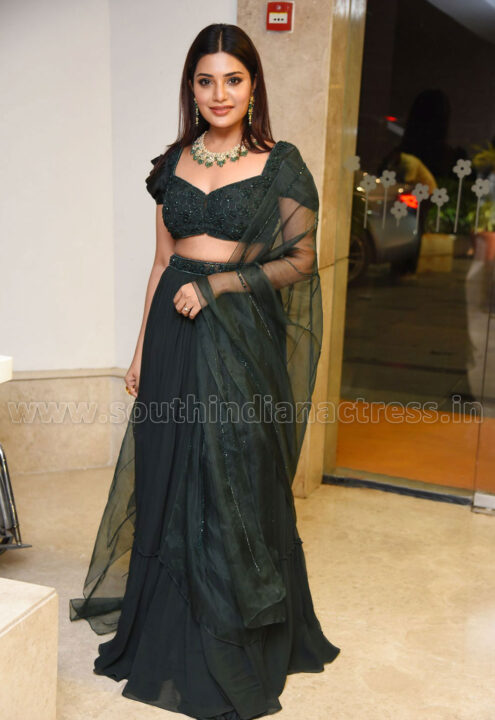 Aathmika at Vijaya Raghavan Movie Pre Release Event