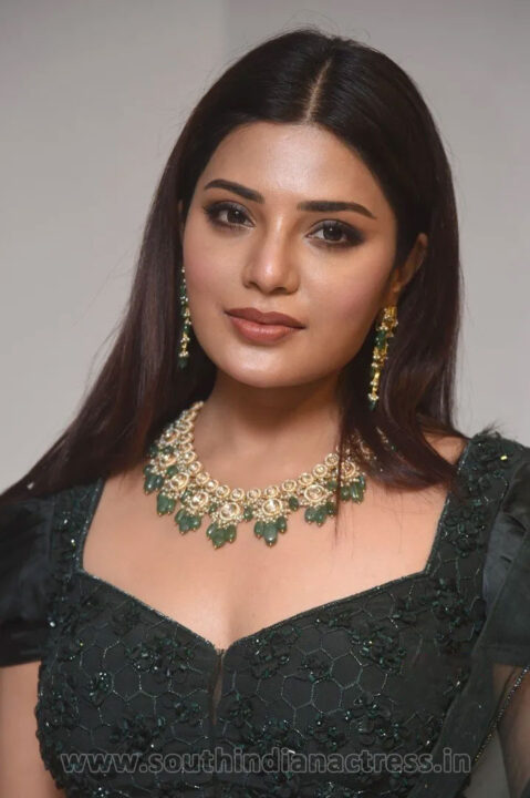 Aathmika at Vijaya Raghavan Movie Pre Release Event