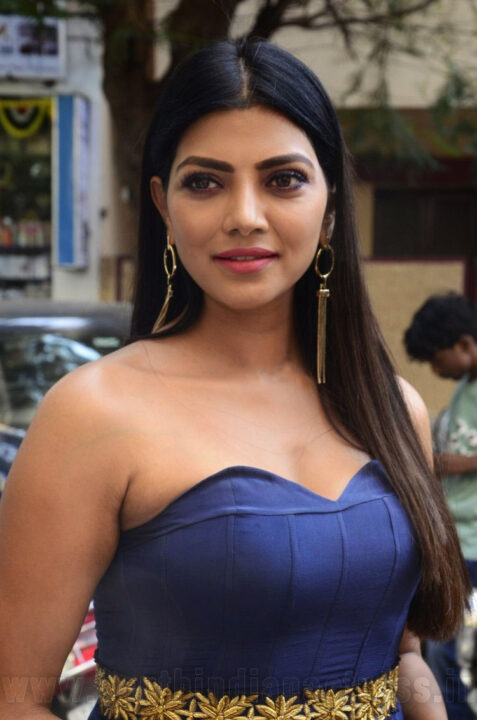 Lahari Shari Glam Stills at a store launch