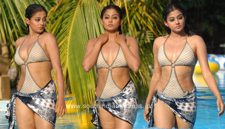 Priyamani hot bikini stills