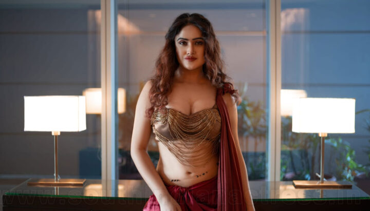 Sony Charishta hot navel photos