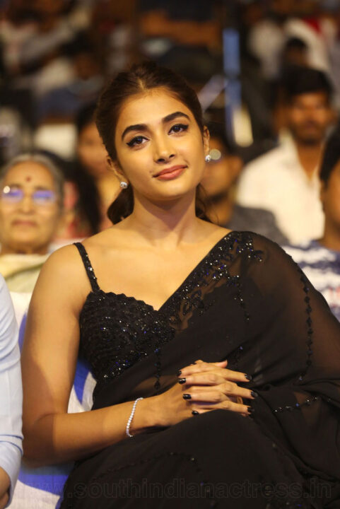 Pooja Hegde in saree at Most Eligible Bachelor success meet