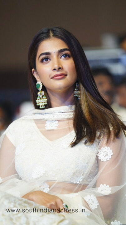 Pooja Hegde at Most Eligible Bachelor Pre Release Event