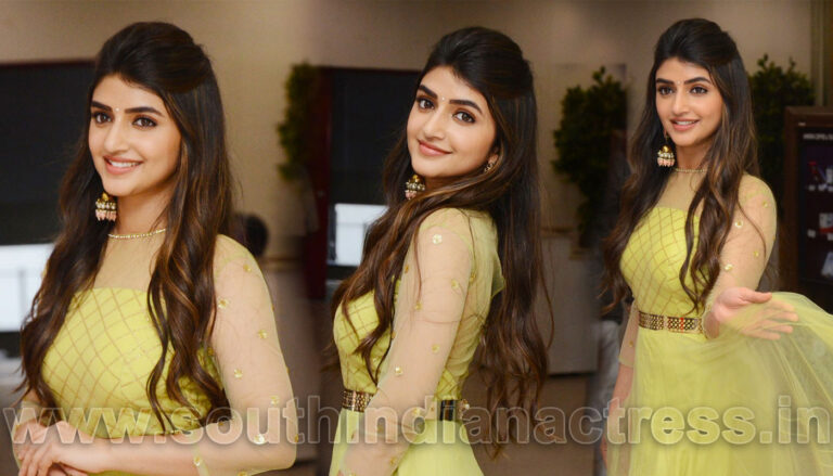 Sreeleela stills at Pelli SandaD movie success celebration