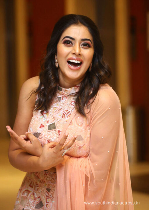 Shamna Kasim stills at 3 Roses Pre Release Event