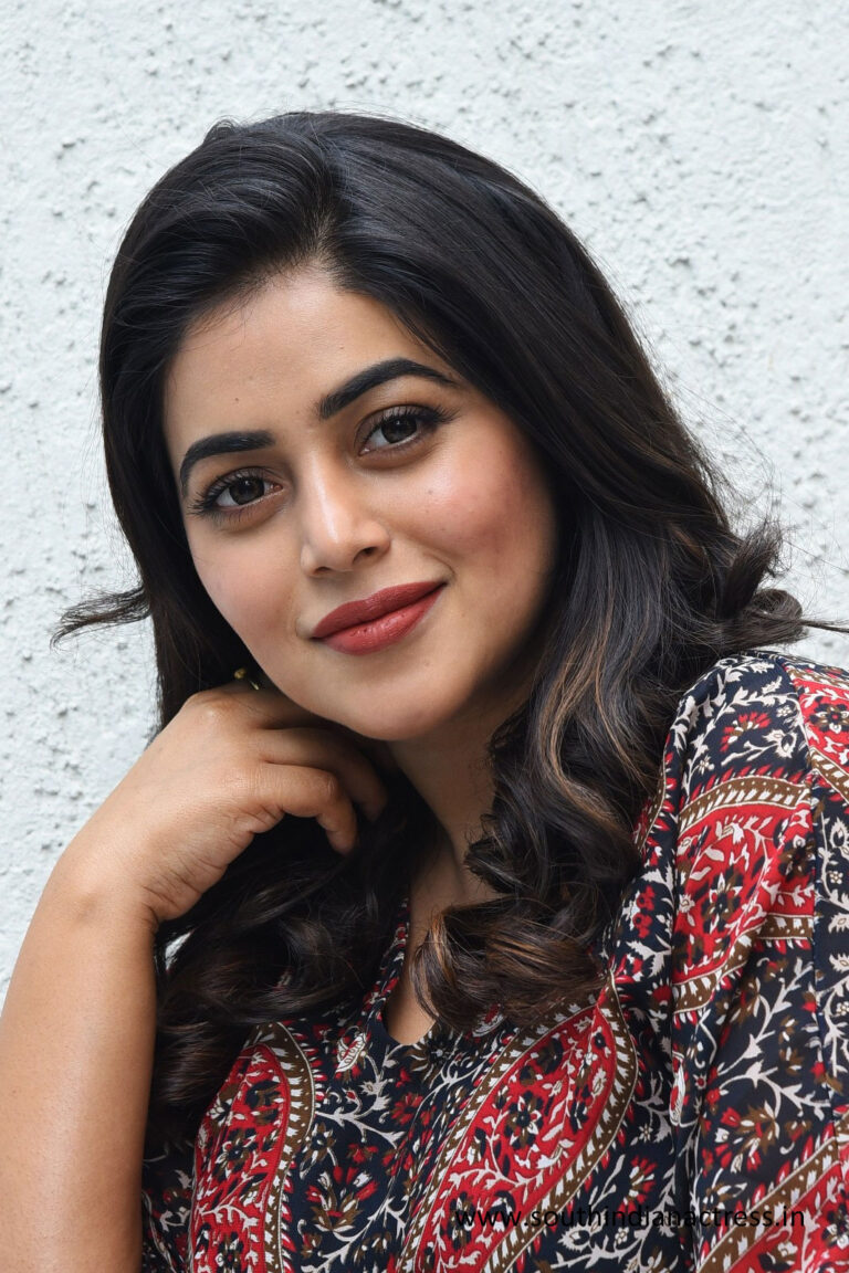 Shamna Kasim stills at Akhanda movie interview - South Indian Actress