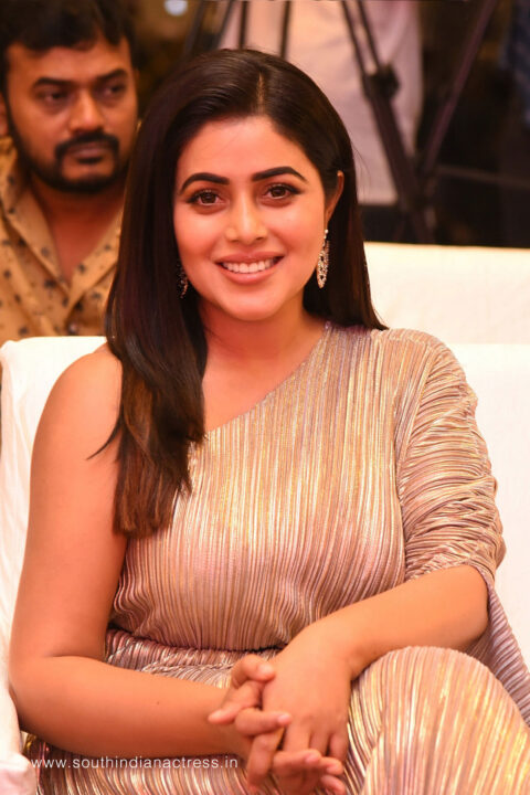 Shamna Kasim at Aha Manchi Rojulochaie and 3 Roses Success Meet