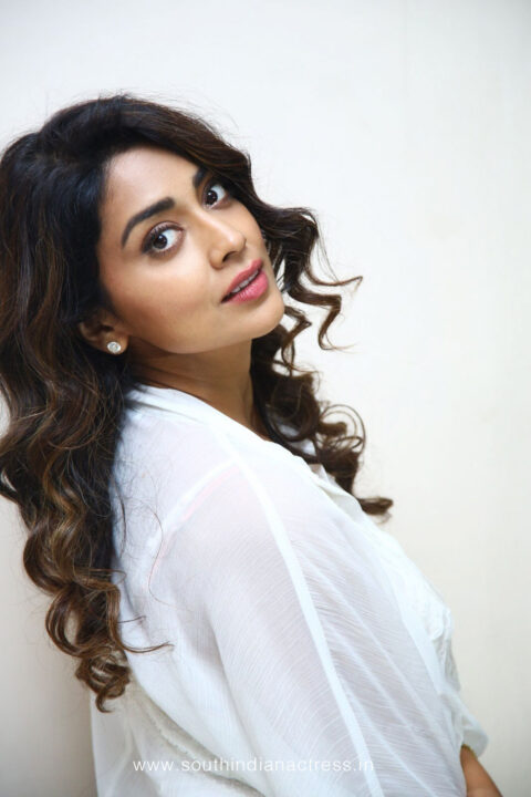 Shriya Saran stills at Gamanam Movie Success Meet