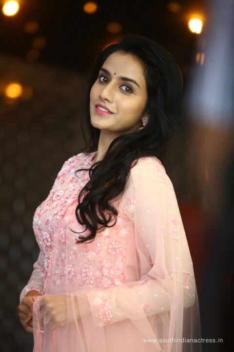 Ann Sheetal at Kinnerasaani Movie Trailer Launch