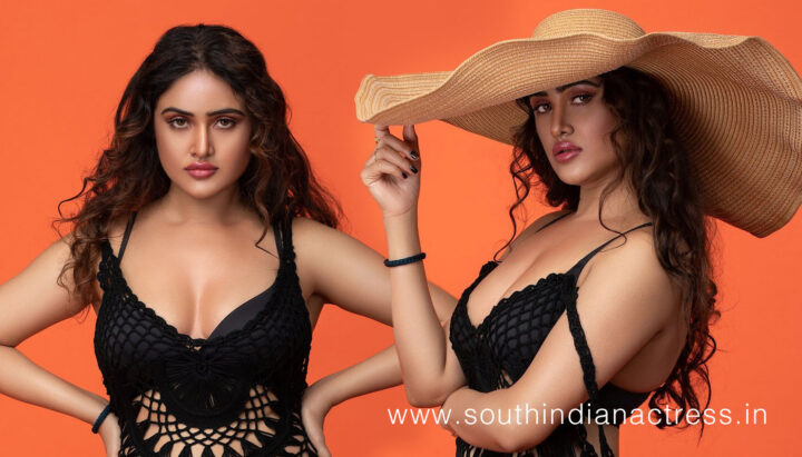 Sony Charishta hot HD stills from latest Photoshoot