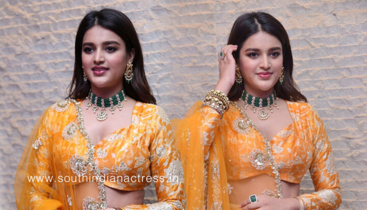 Nidhhi Agerwal stills at Hero movie Pre Release Event