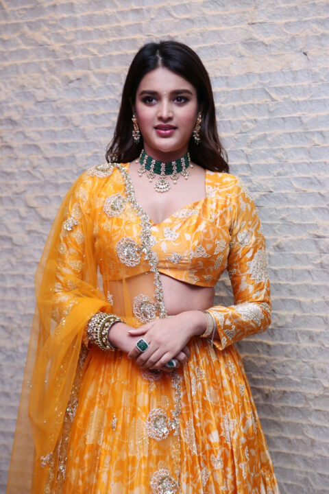 Nidhhi Agerwal stills at Hero movie Pre Release Event