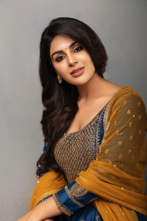 Samyuktha Menon in maxi dress photoshoot stills