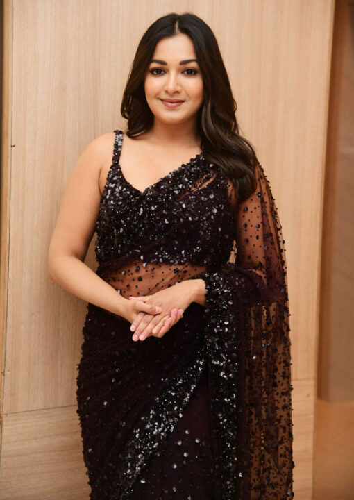 Catherine Tresa stills at Bhala Thandanana Movie Pre Release Event