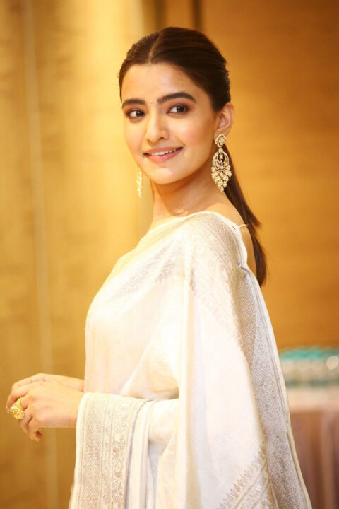 Rukshar Dhillon at Ashoka Vanam Lo Arjuna Kalyanam Press Meet