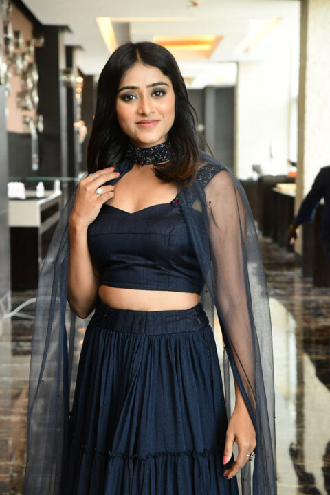 Sangeetha Sringeri stills at 777 Charlie Movie Press Meet