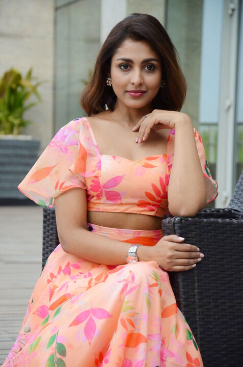 Madhu Shalini at 9 Hours Web Series Pre-Release Event