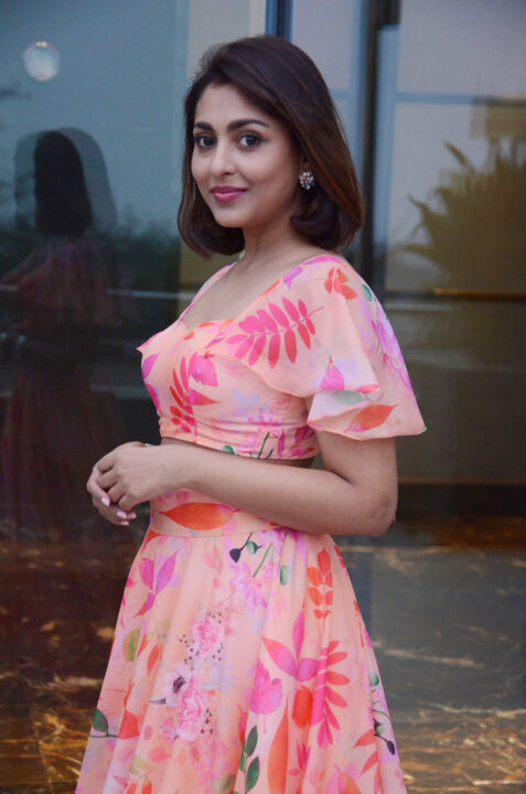 Madhu Shalini at 9 Hours Web Series Pre-Release Event