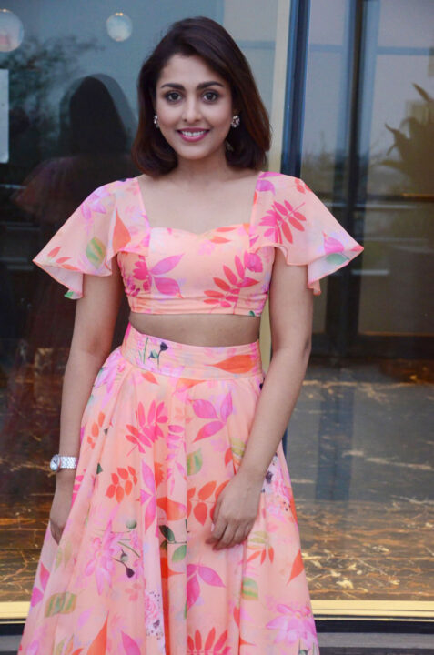 Madhu Shalini at 9 Hours Web Series Pre-Release Event