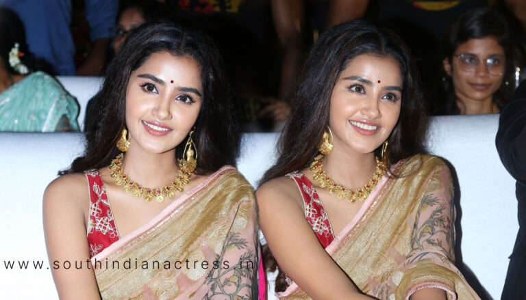 Anupama Parameswaran at Karthikeya 2 100cr Celebrations