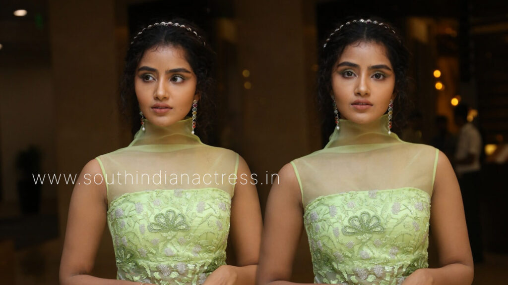Anupama Parameswaran at Karthikeya 2 Pre Release