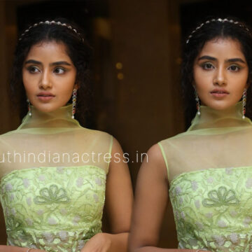 Anupama Parameswaran at Karthikeya 2 Pre Release