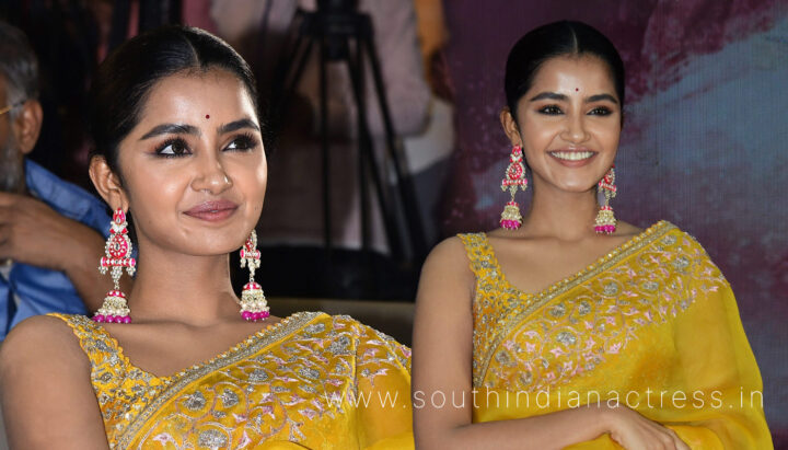 Anupama Parameswaran at Karthikeya 2 Success Meet