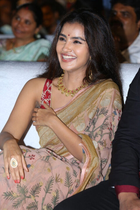 Anupama Parameswaran beautiful smile in saree