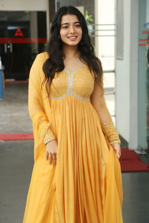 Ketika Sharma stills at Ranga Ranga Vaibhavanga interview