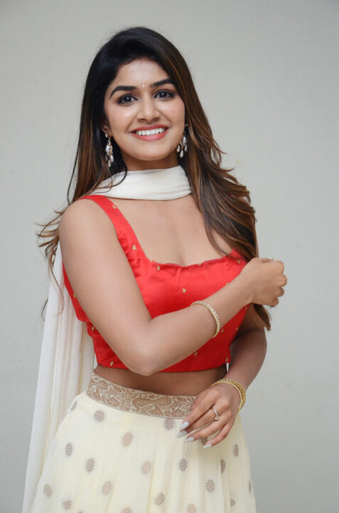 Sanjana Anand at Nenu Meeku Baga Kavalsinavadini song launch