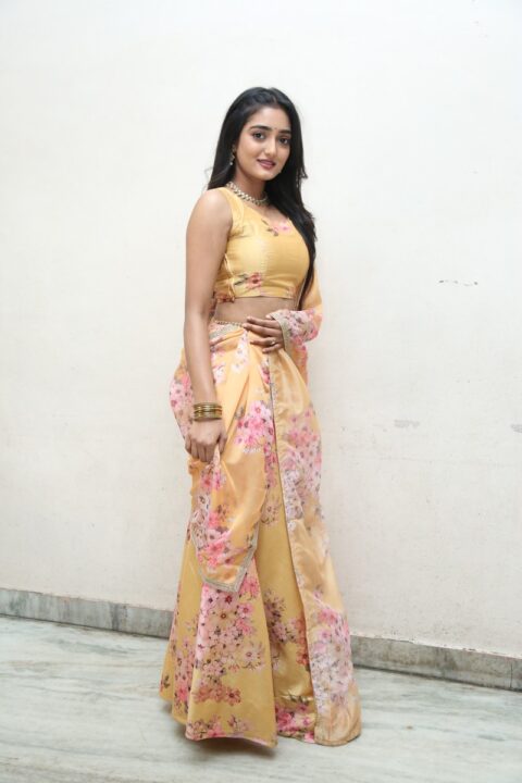 Hrithika Srinivas at Allantha Doorana Pre Release Press Meet